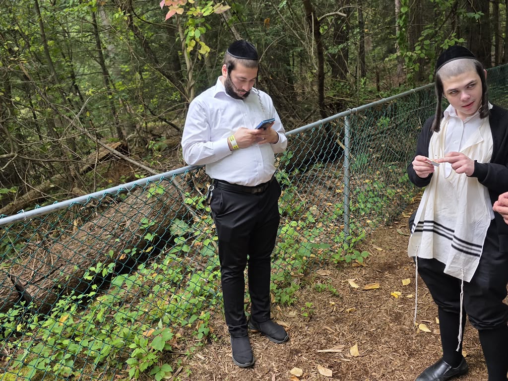 Status update image from Achim B’yachad
