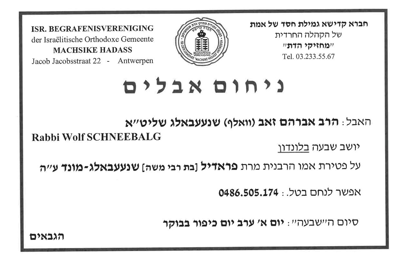 Status update image from The Antwerp Bulletin