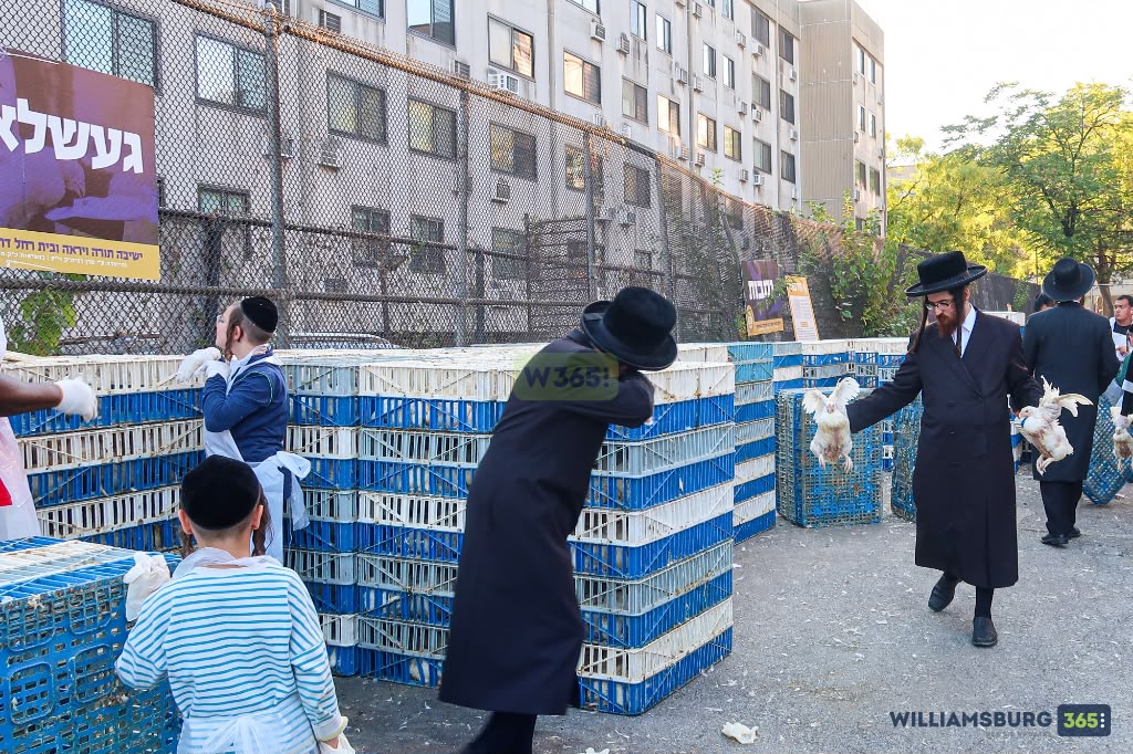 Status update image from Williamsburg 365 News
