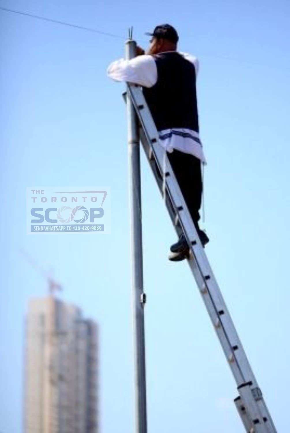 Status update image from Toronto Scoop