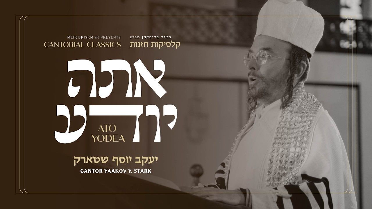 Status update image from boroPark24