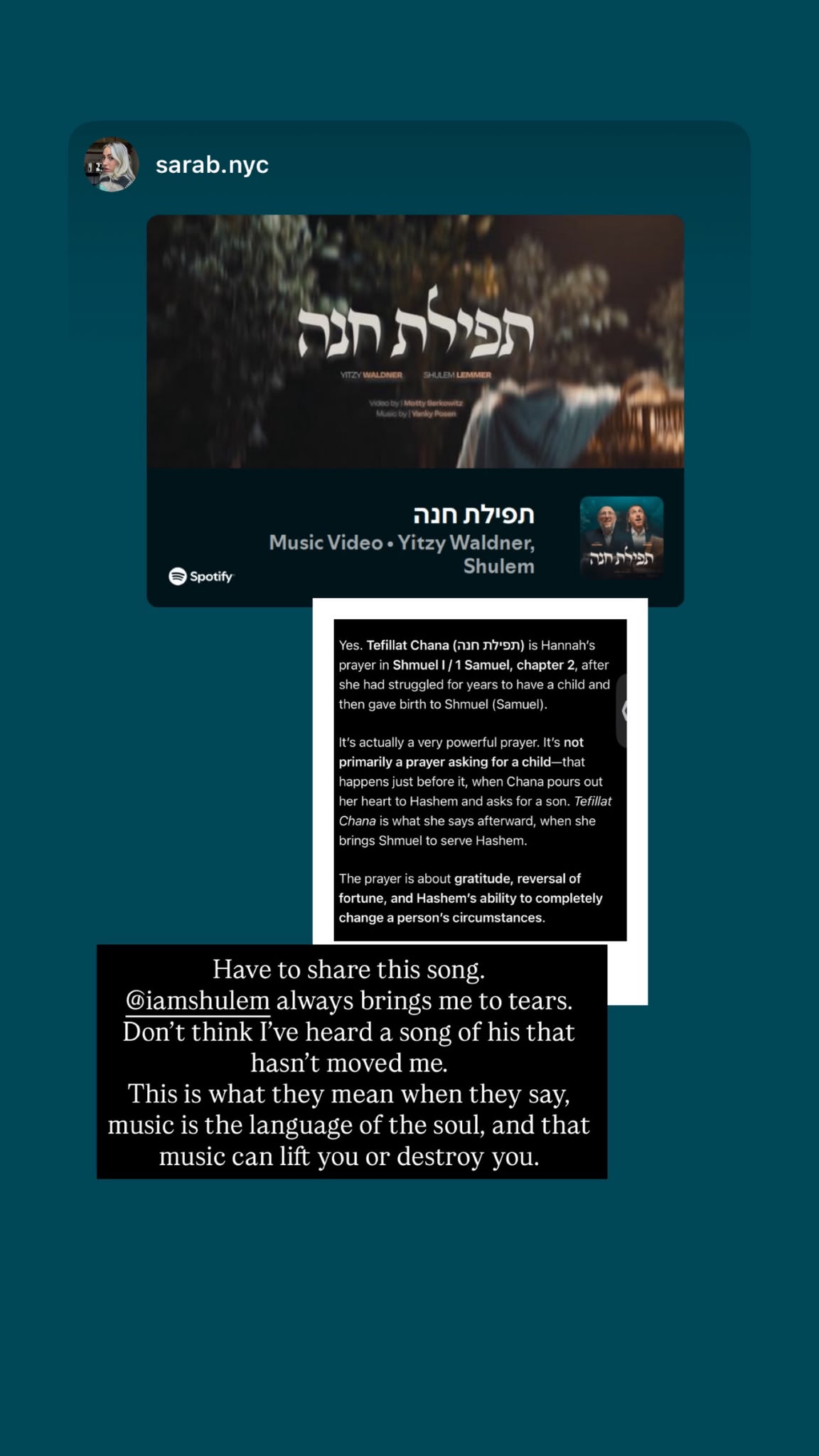 Status update image from Shulem Lemmer