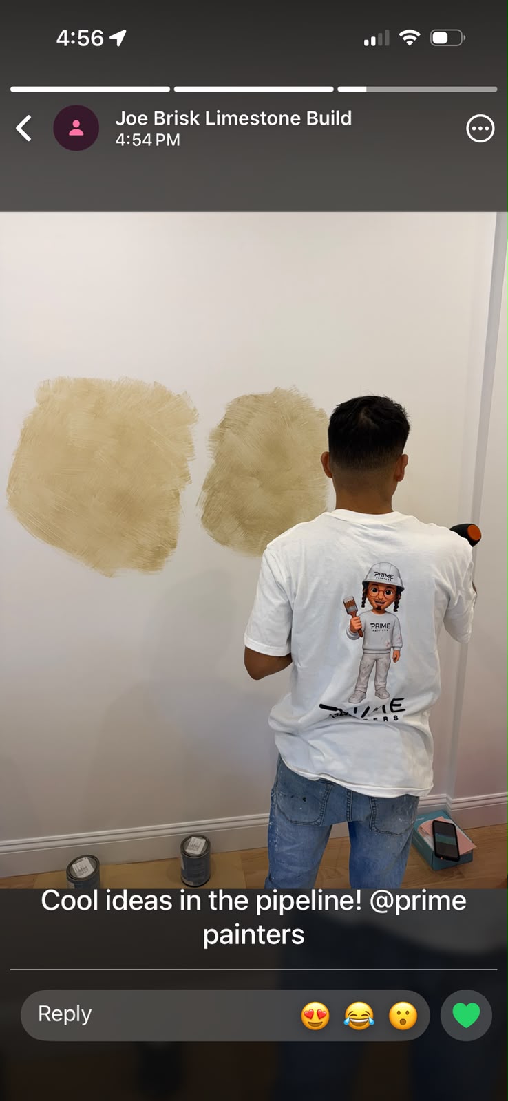 Status update image from Prime Painters
