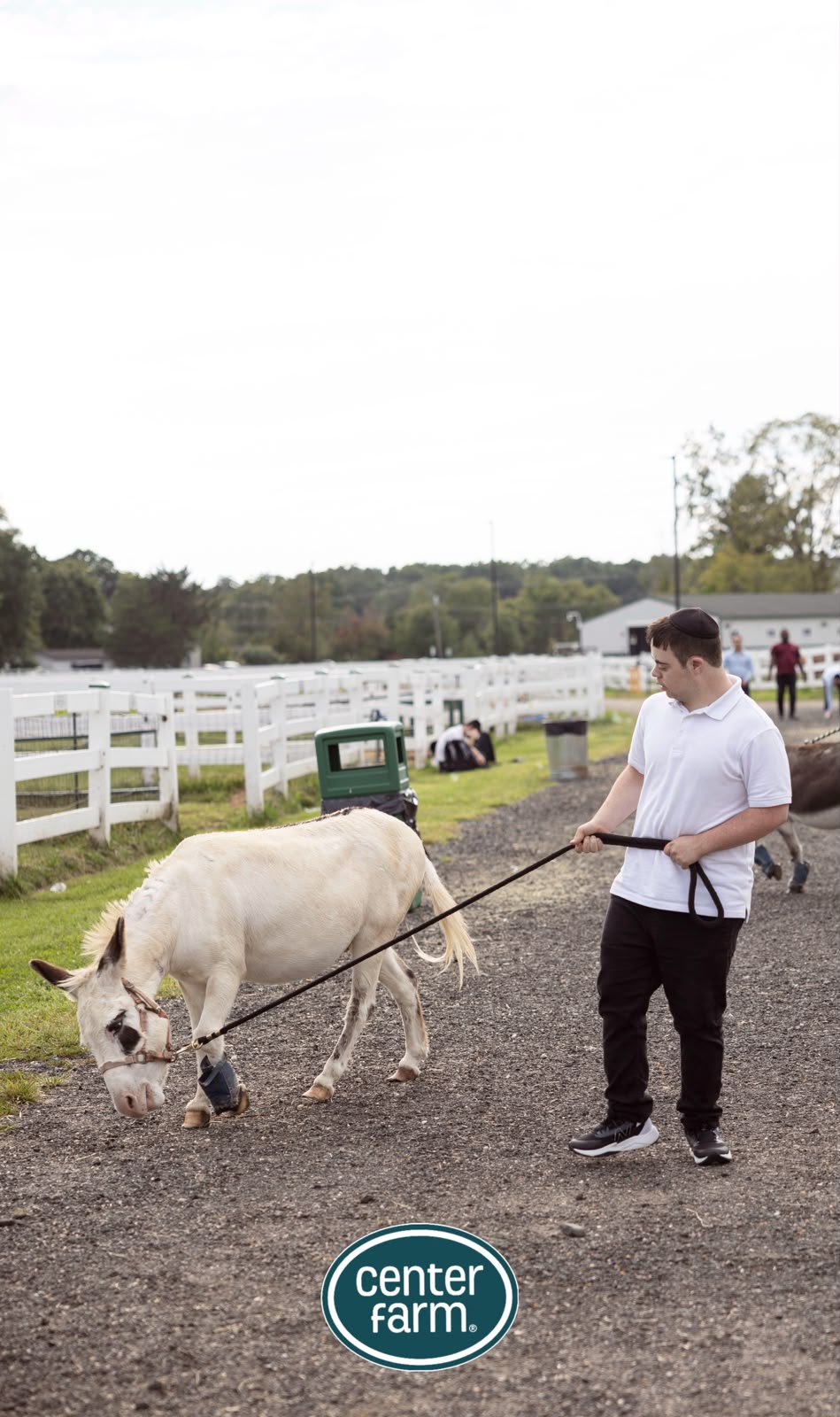 Status update image from The Special Children’s Center Farm