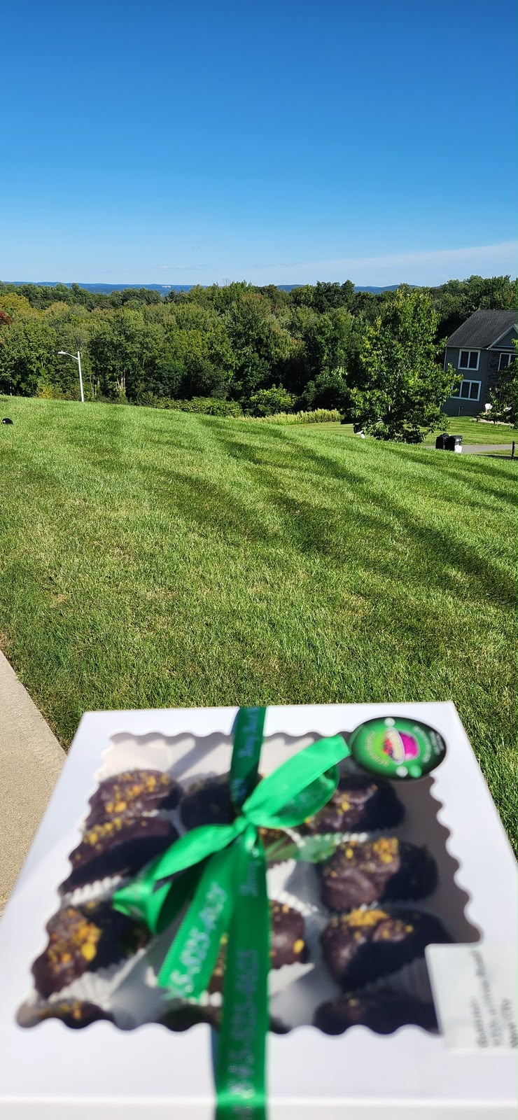 Status update image from Berry Burst Kosher