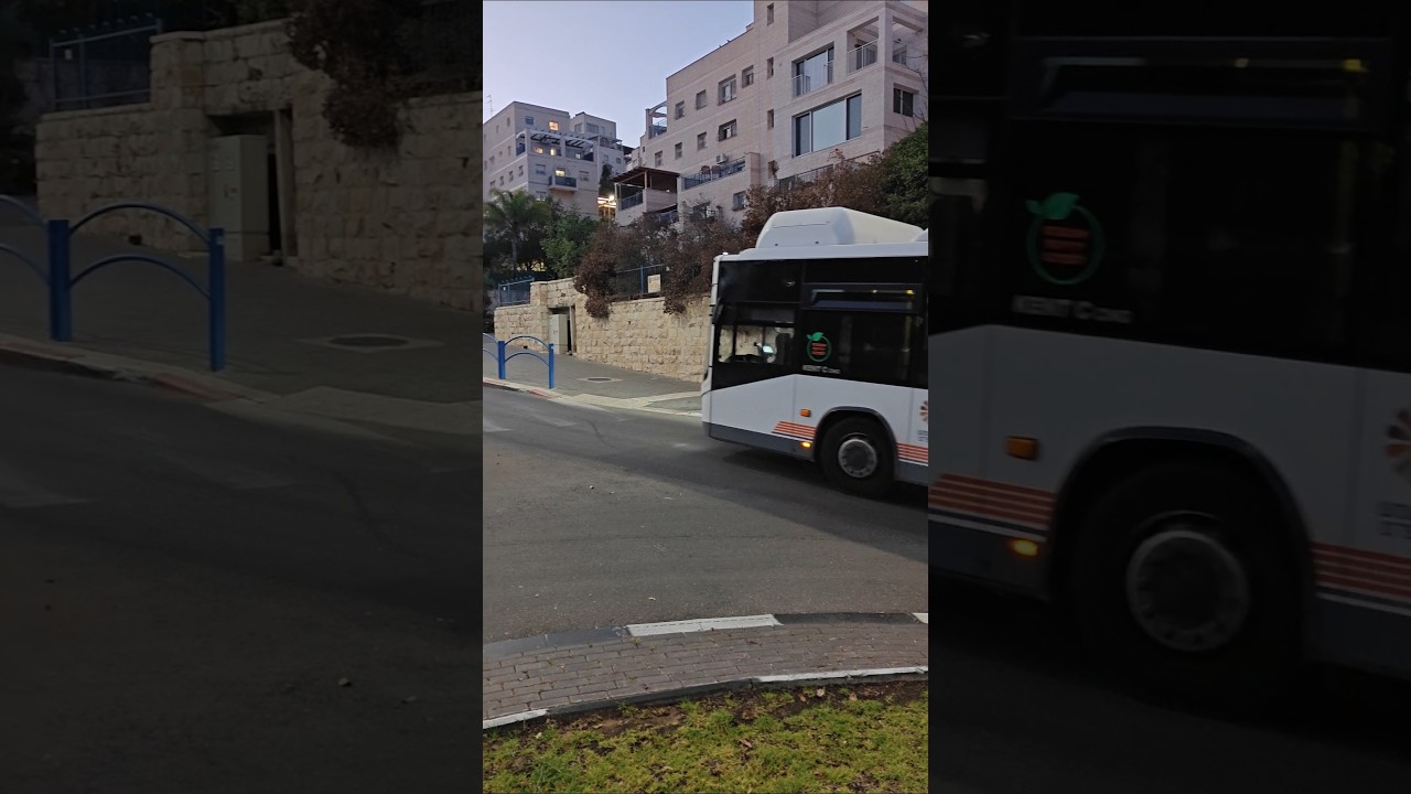 Morning sing-song interrupted by the 5:20 bus