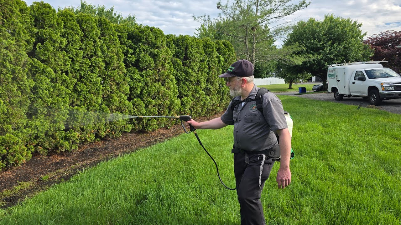 Enjoy your backyard all season long without mosquitoes & ticks — just a one-time payment of $230!
