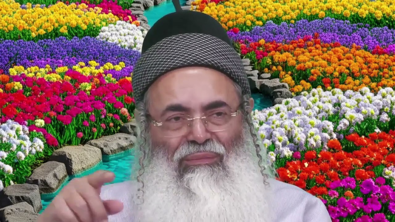 A desire desires | Rabbi Amnon Yitzhak.