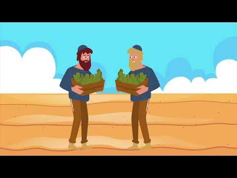 Rabbi B - The Two Brothers Story