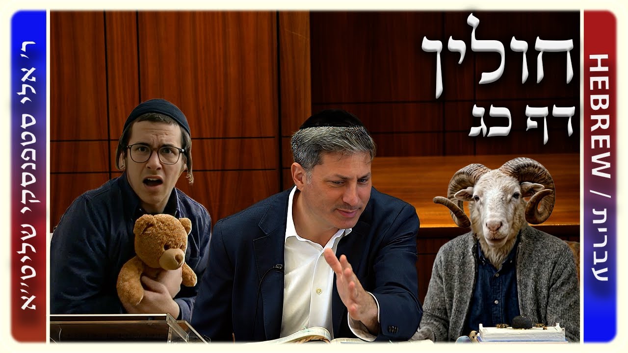 מרכז דף יומי - חולין דף כג. - ר' אלי סטפנסקי שליט"א