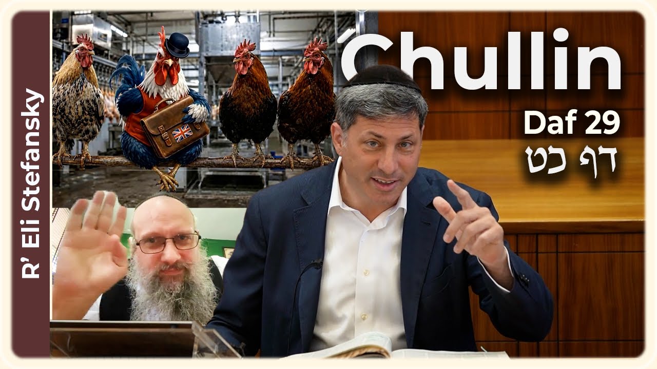 Daf Yomi Chullin Daf 29 by R' Eli Stefansky