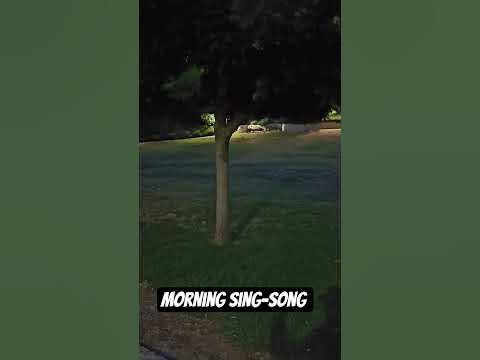 Morning sing-song