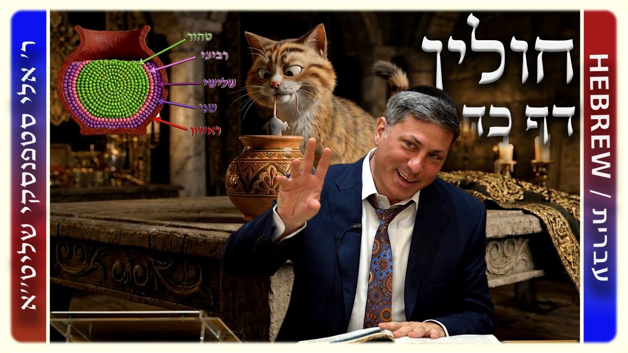 מרכז דף יומי - חולין דף כד. - ר' אלי סטפנסקי שליט"א