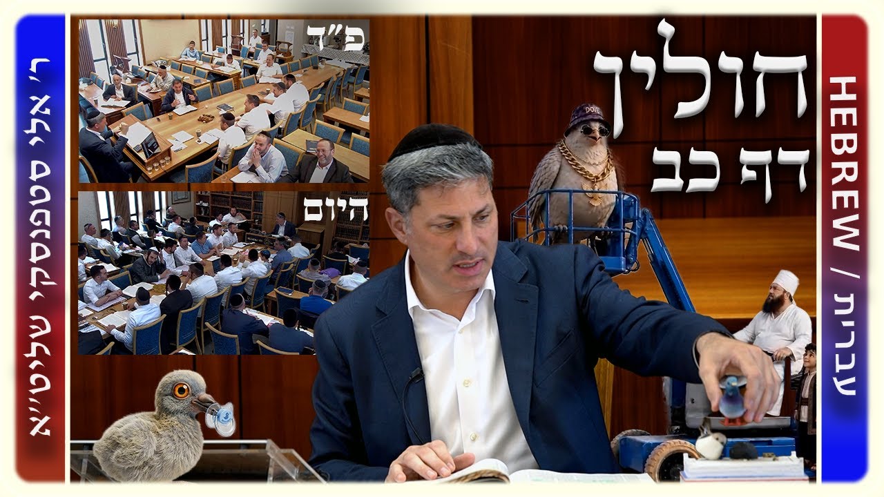 מרכז דף יומי - חולין דף כב. - ר' אלי סטפנסקי שליט"א