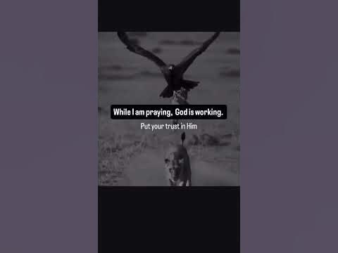 #trust #miracles