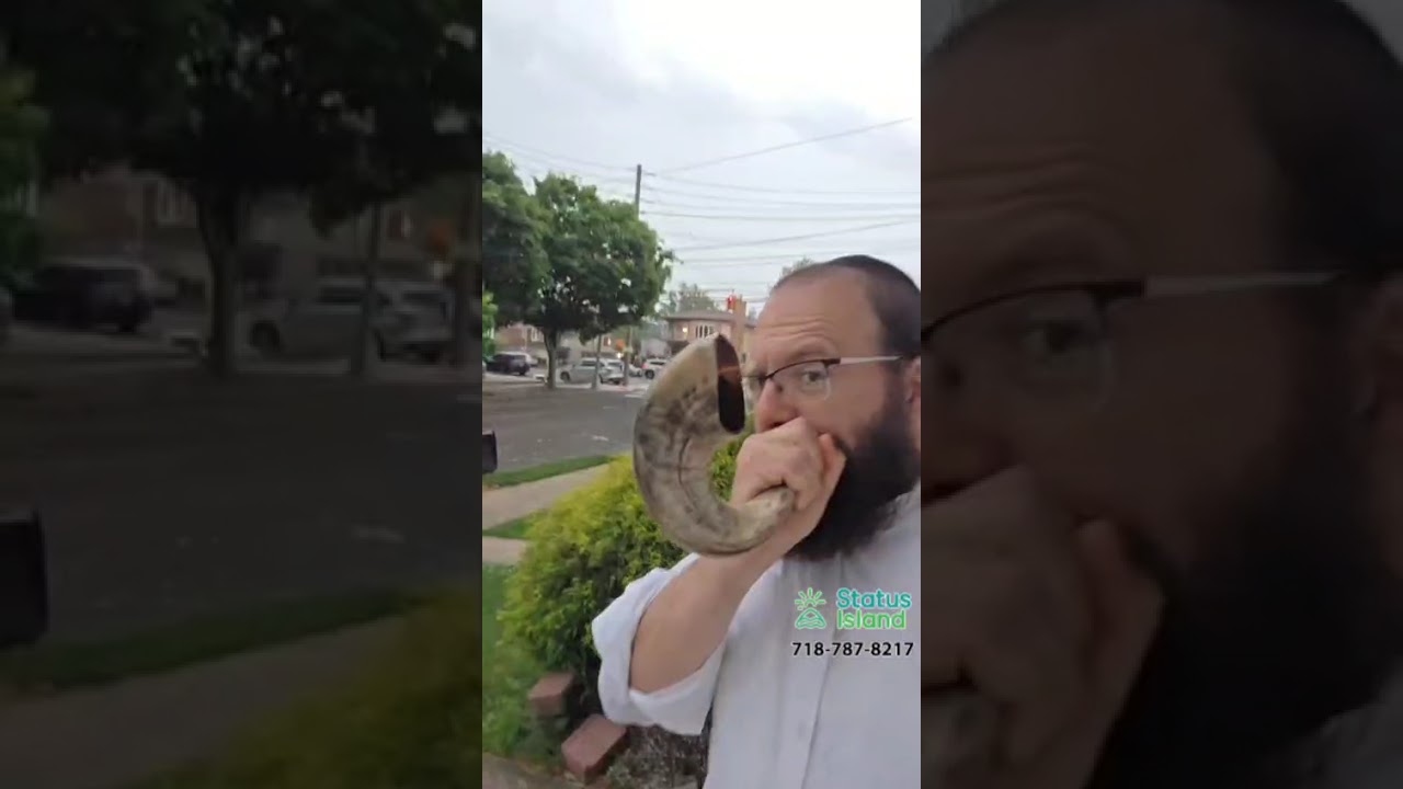 קולות וברקים, פלארדידע חקירה 😂 Status island https://wa.me/17187878217
