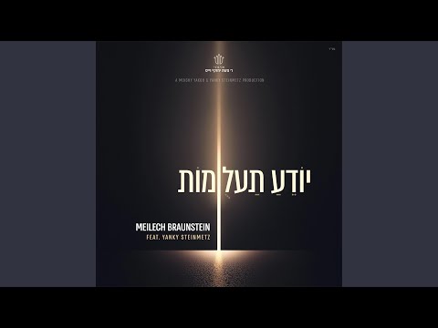 Yodeah Ta’alumos (feat. Yanky Steinmetz)
