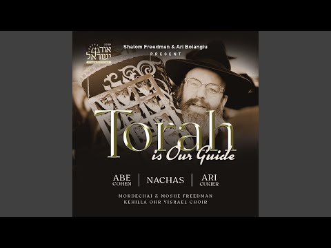 Torah is Our Guide (feat. Abe Cohen)