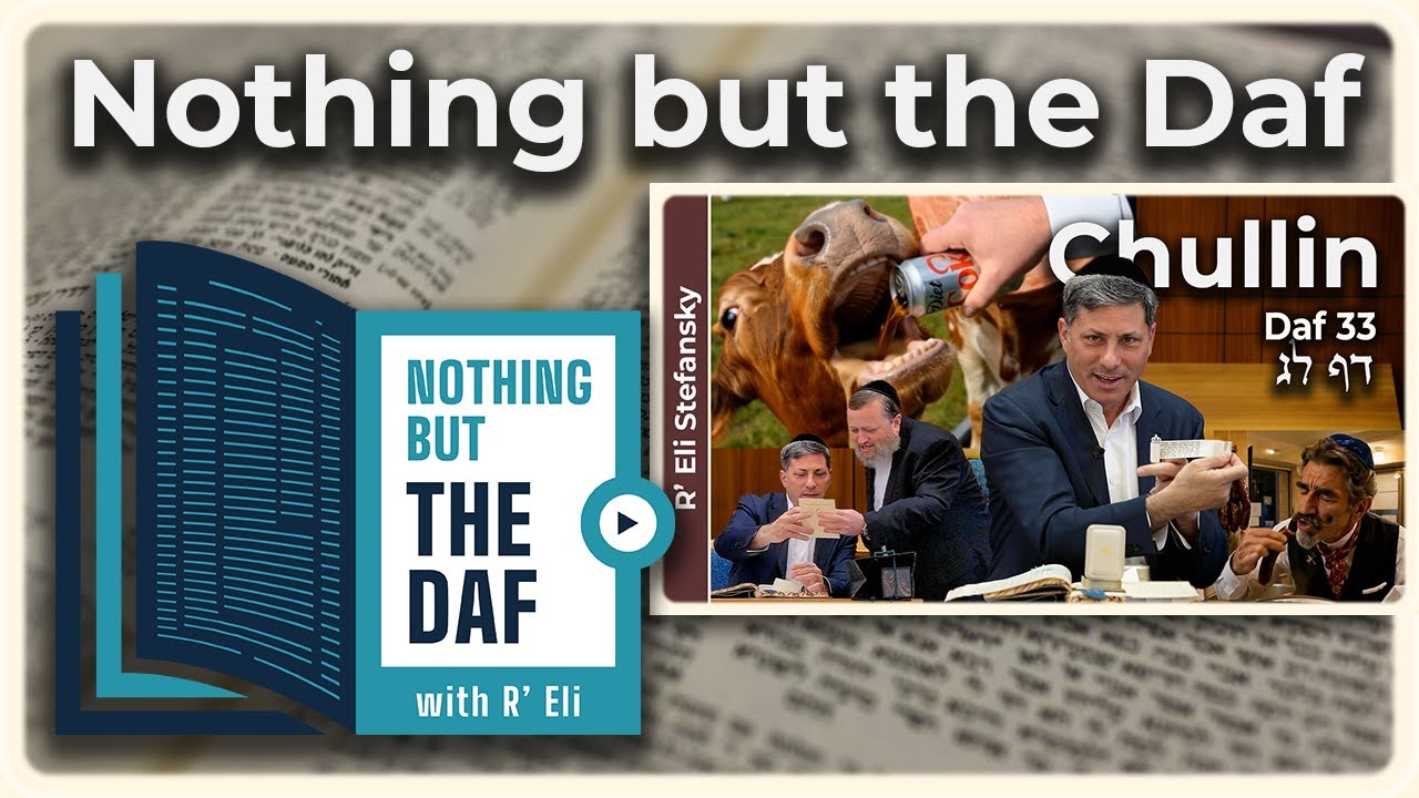 CHAZARAH - Chullin Daf 33 | "Nothing but the Daf" with R' Eli Stefansky
