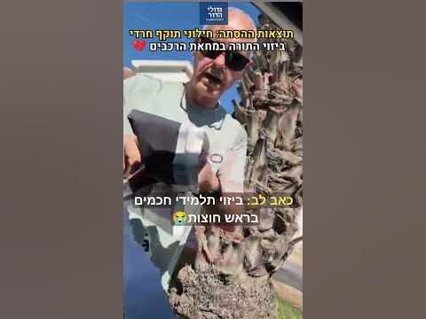 🚨 הסתה ושנאה ברחובות! • חילוני תוקף וקורע שלטים מרכב חרדי במחאת הרכבים
