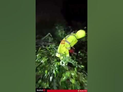 Chaveirim responded to multiple downed trees following severe weather in Boro Park.