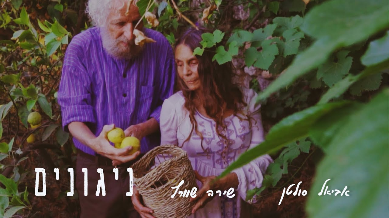 אביאל סולטן | שירה שוורץ - ניגונים (קליפ)