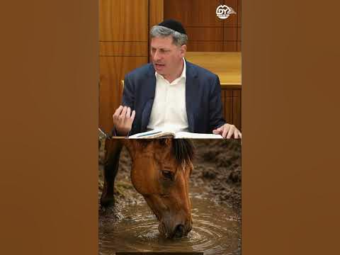 אל תעכיר לעצמך את המים