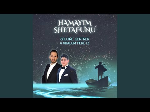 Hamayim Shetafunu (feat. Shalom Peretz)