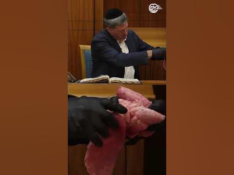 להפיח חיים, בדף היומי 🫁