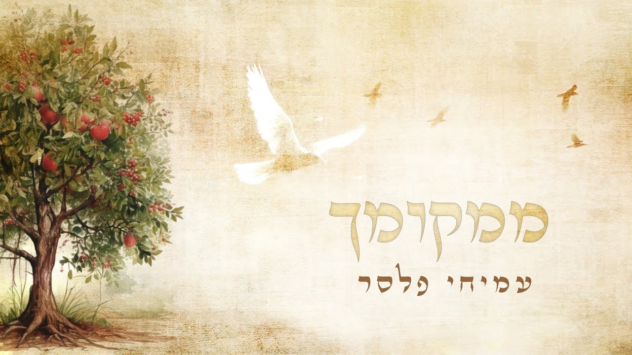 ממקומך ∙ עמיחי פלסר