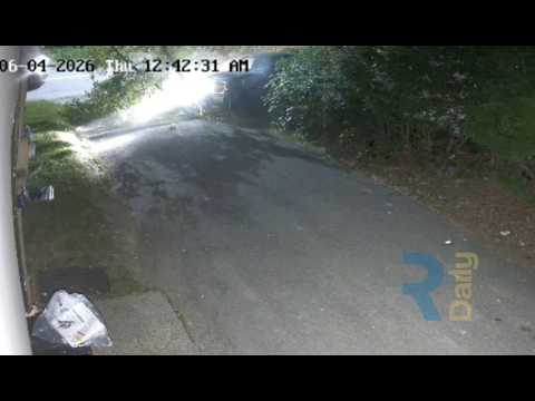 Drunk driver crashes into a tree, brings it down, then flees on foot. Suspect remains at large.