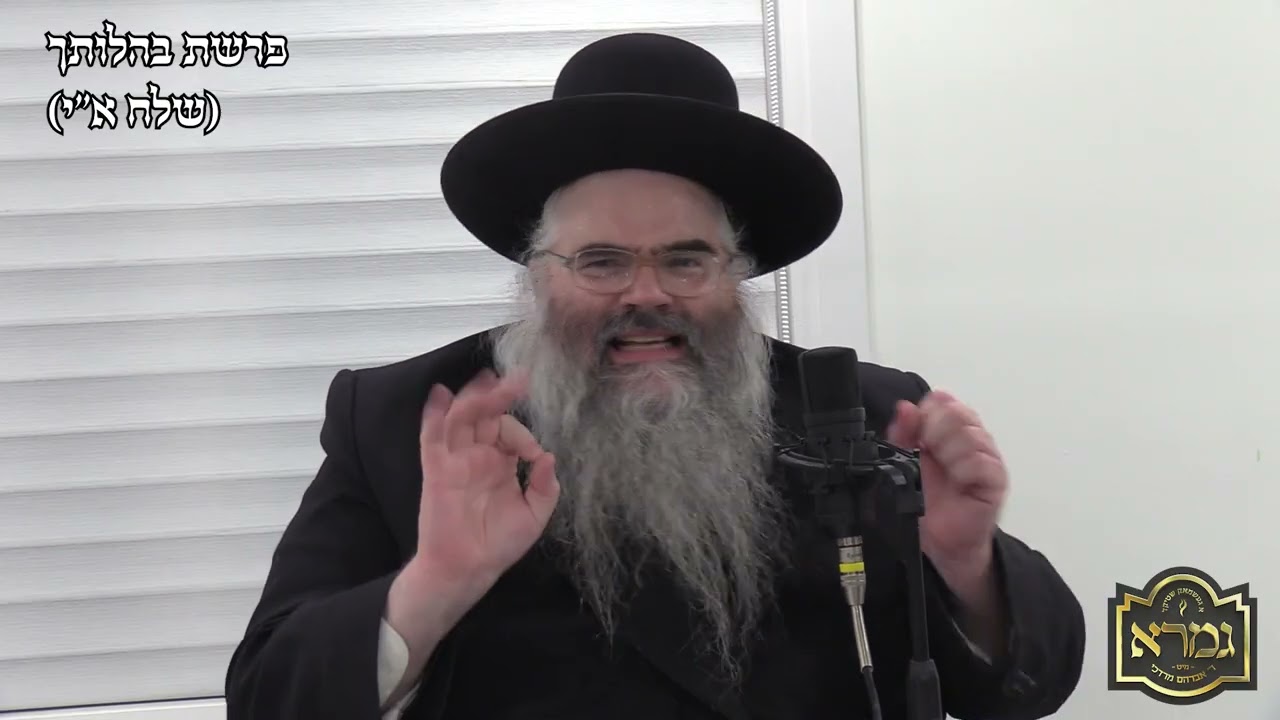 ר' אברהם מרדכי מלאך - פרשת בהלותך תשפ"ו