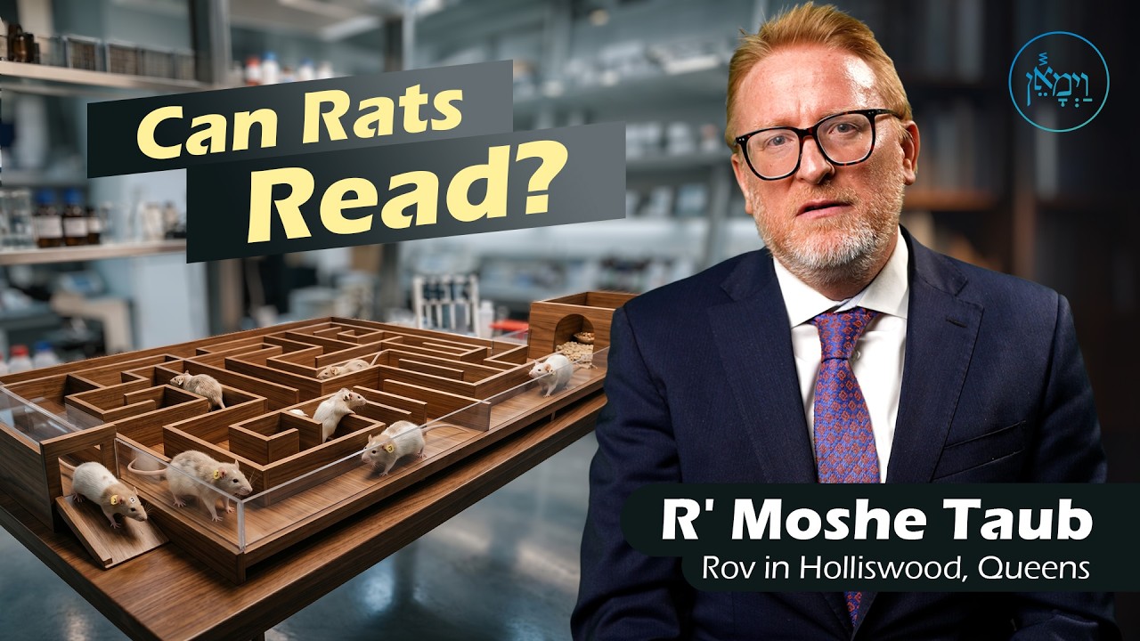 Can Rats Read? | Rabbi Moshe Taub