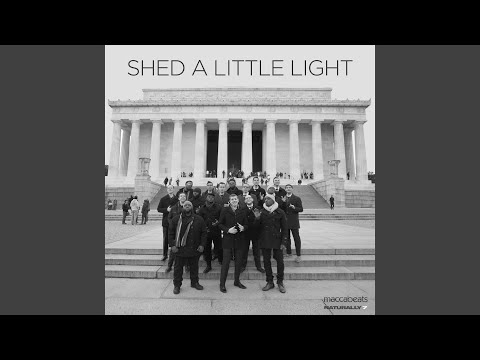 Shed a Little Light