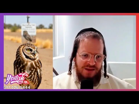 Casa Grande’s coolest residents live underground 🦉