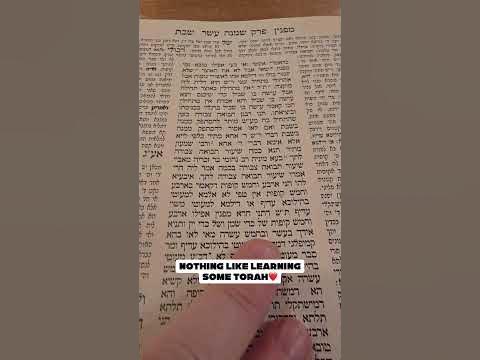 Nothing like learning some Torah❤️