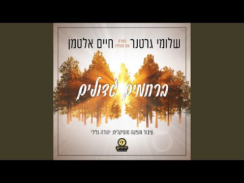 Berachamim Gedoilim