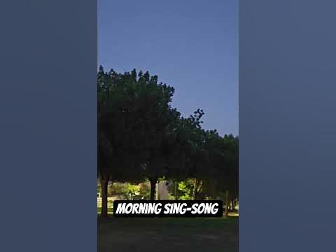Morning sing-song