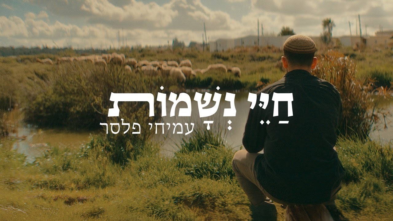 חיי נשמות ∙ עמיחי פלסר