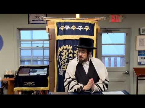 להתקדם או להתעלות - Rav Benzion Sneh Shiur at Scheiner's after Vasikin June 1