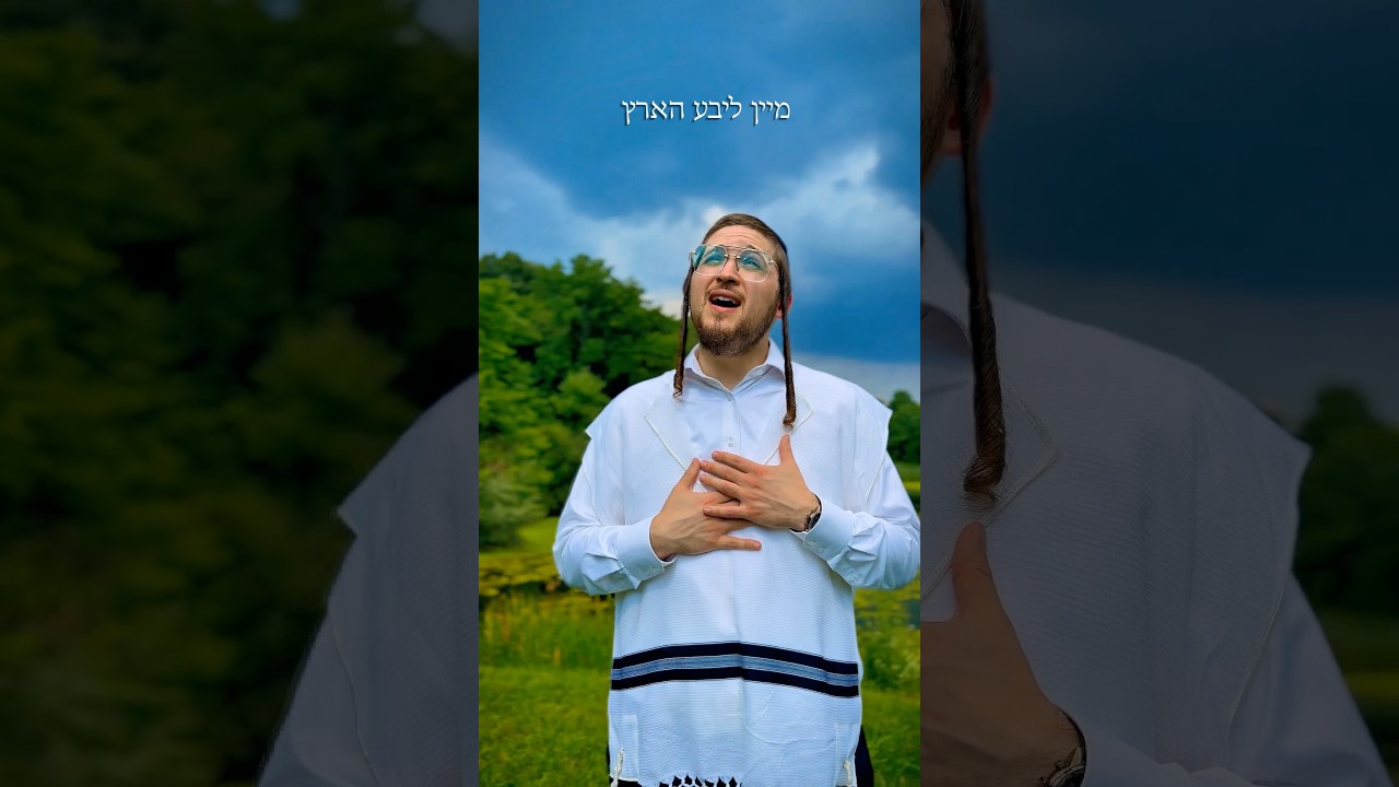 דוד׳ס א ניגון ~ Duvid’ song