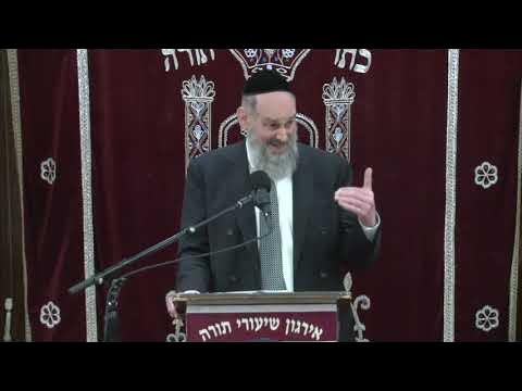 Protection, Perspective & Propriety - Rabbi Yosef Viener Shlita
