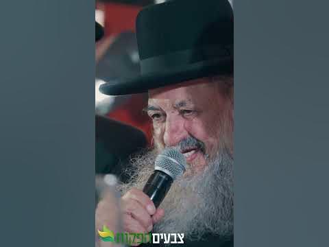 רגע מרגש 💔 קבלת עול מלכות שמים בהילולה הגדולה ✨