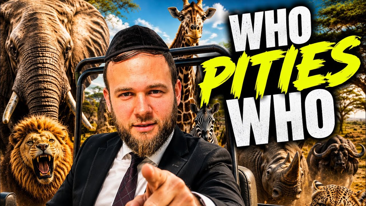 Who PITIES who at the SAFARI ?