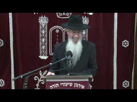 Navigating Financial Challenges The Kosher (Torah) Way  - Rabbi Dovid Goldwasser Shlita