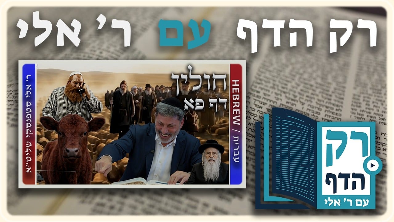 חזרה - חולין דף פא | "רק הדף" עם ר' אלי סטפנסקי