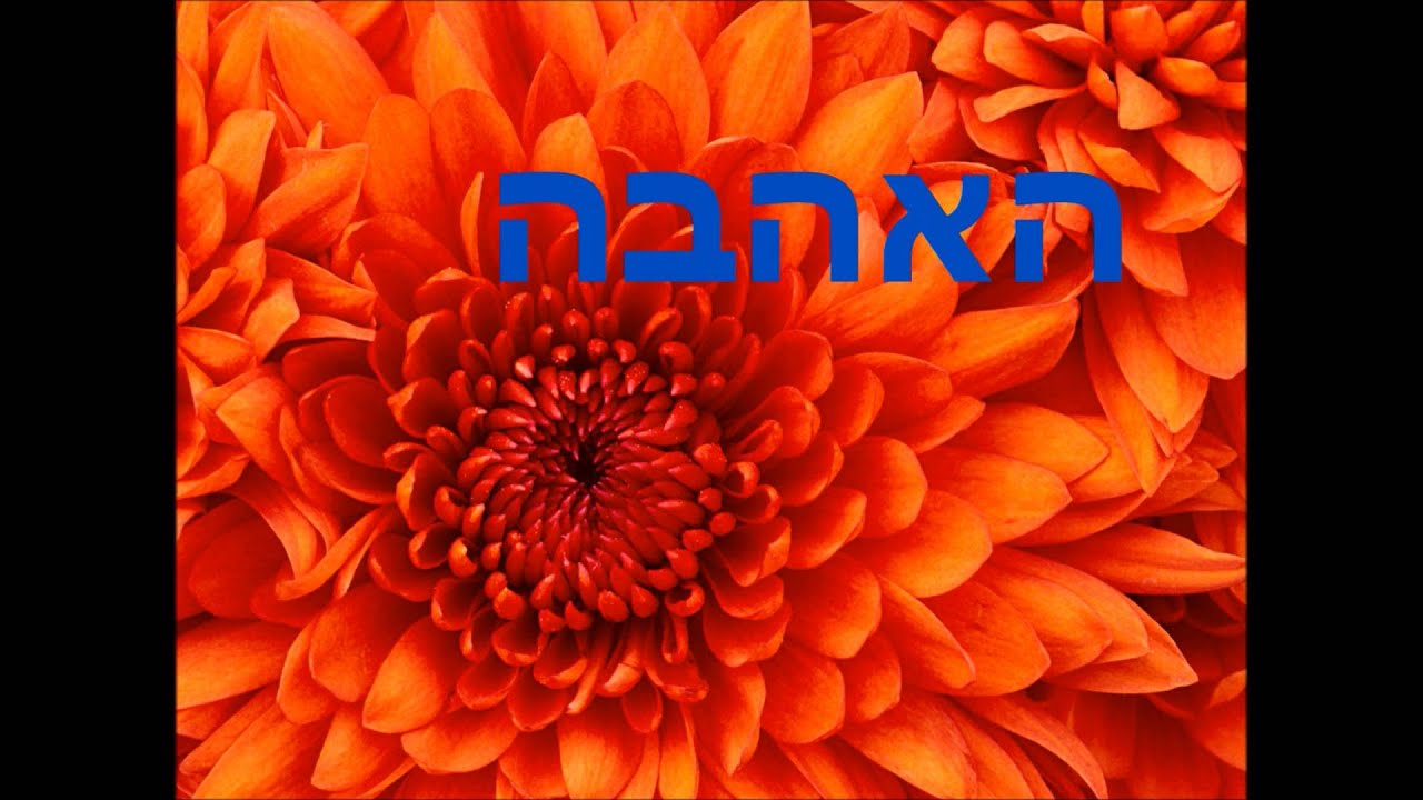 עדי רן   התבודדות