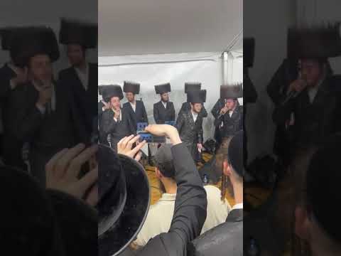 Ratsfard Hungary Hachnoses Sefer Torah 🔥