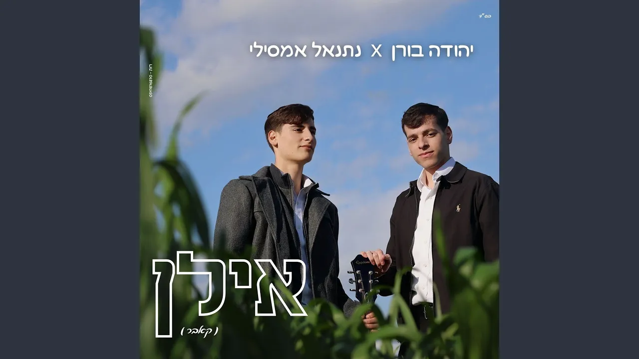 אילן