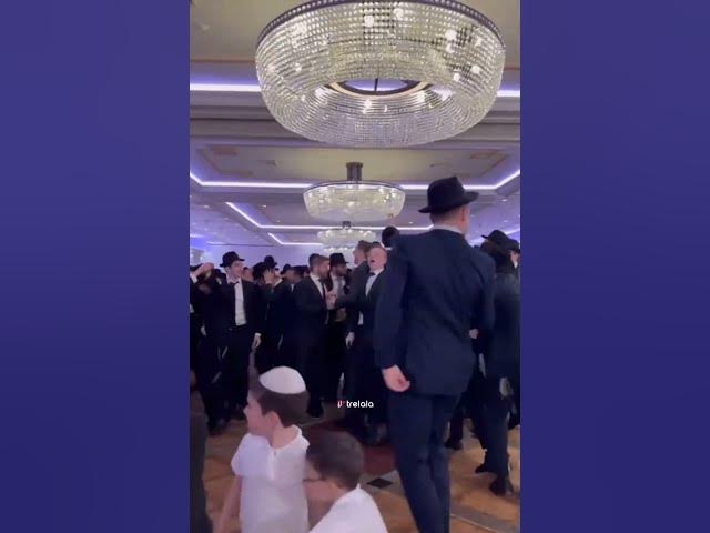It's A Jewish Lebadig Dance #jewish #music #wedding #dance #shake #vibes #viral